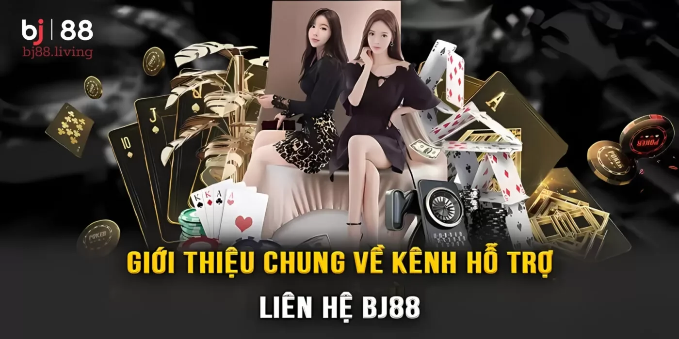 Giới thiệu về bộ phận chăm sóc người chơi của Bj88